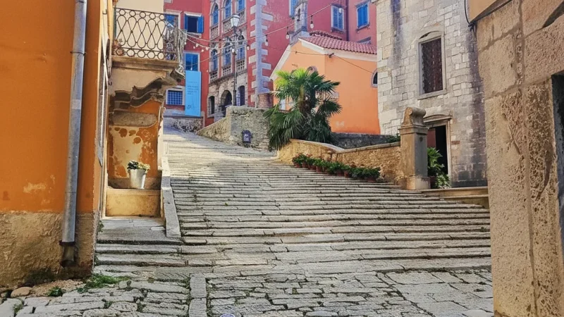 Coastal View Streets