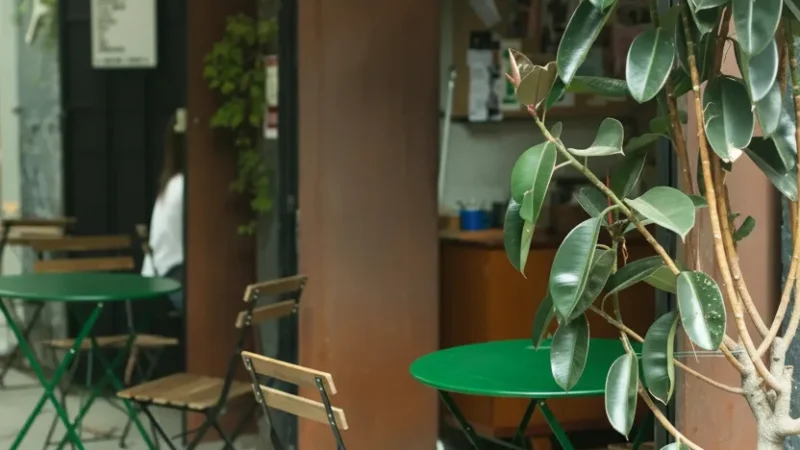 09) Condesa Neighborhood(2)