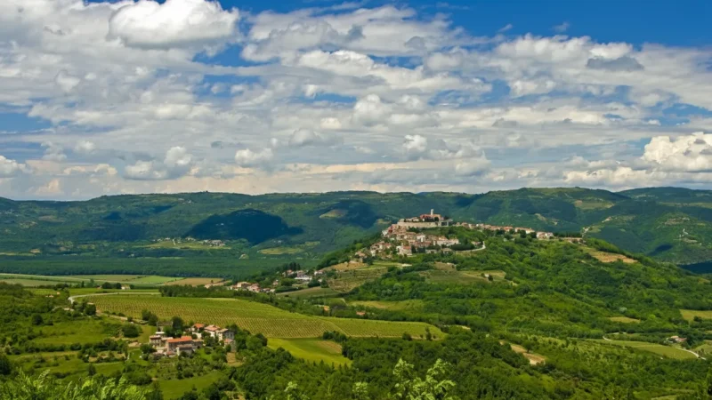 09) Forest Viewpoints(3)