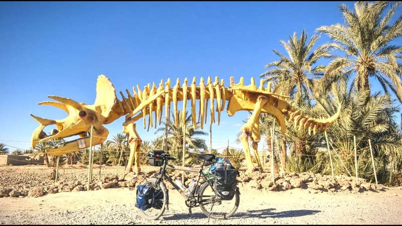 09) Fossil Fields(5)
