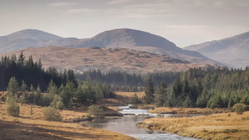 09) Galloway Forest Park(3)