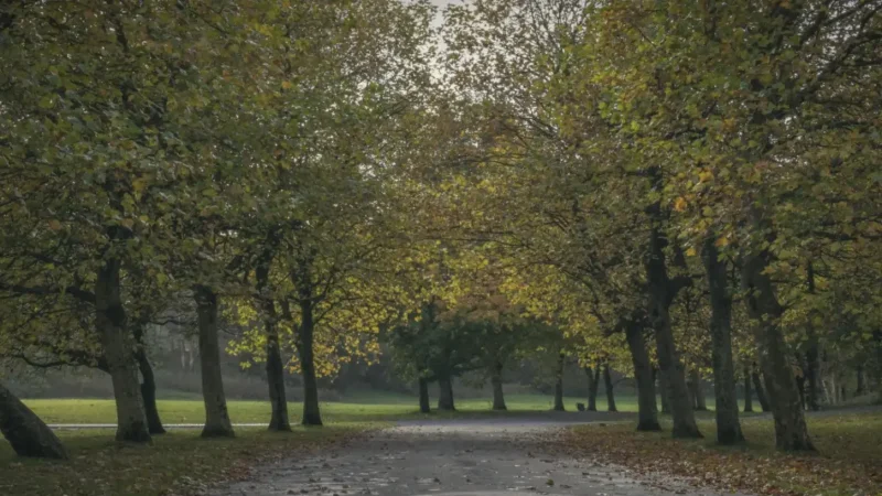 09) Heaton Park(3)