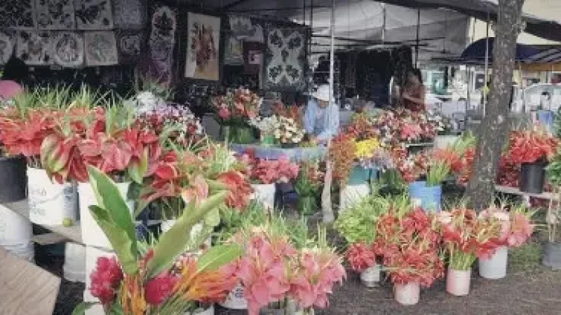 09) Hilo Farmers Market(1)