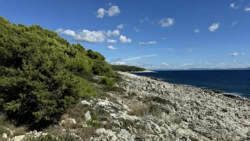 Island Walking Paths