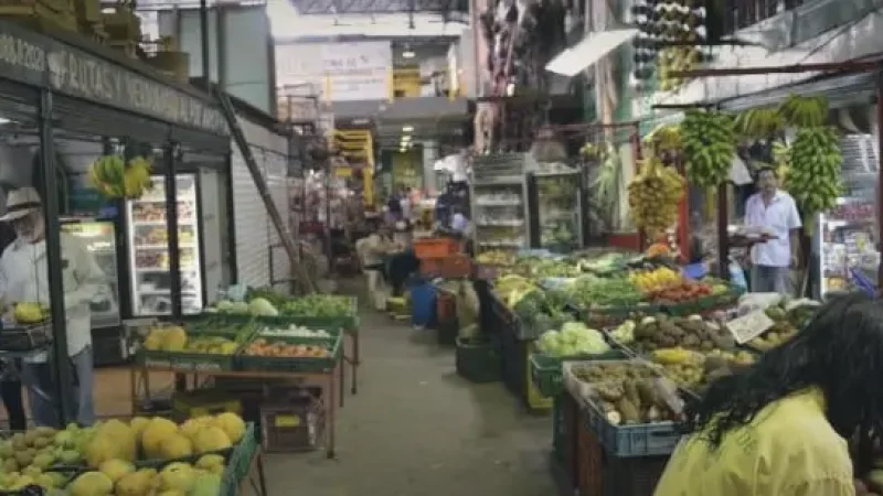 09 Local Markets – Daily city life_(4)
