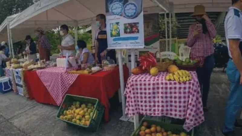 09 Local Markets – Fresh produce and crafts_(6)