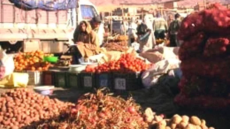 09) Local Markets(11)