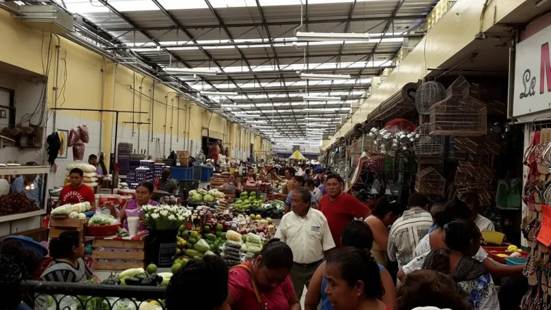 09) Lucas de Gálvez Market(4)
