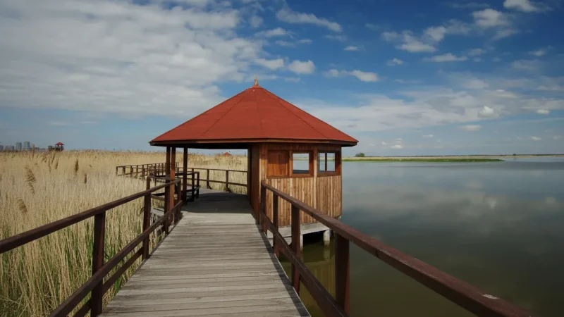 09) Nature Trails(1)