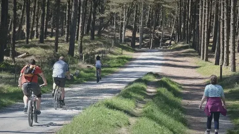 09) Newborough Forest(4)