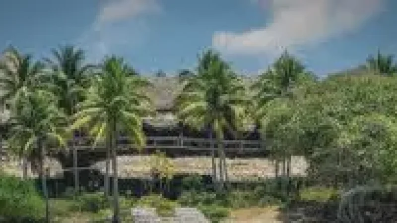 09 Palm Tree Walks – Island scenery(6)