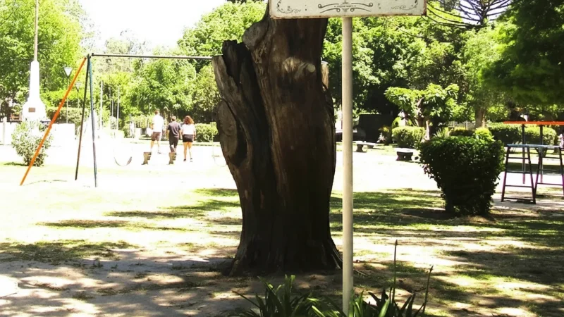 09) Plaza Centenario(5)