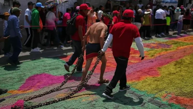 09) Seasonal Flower Festivals(3)