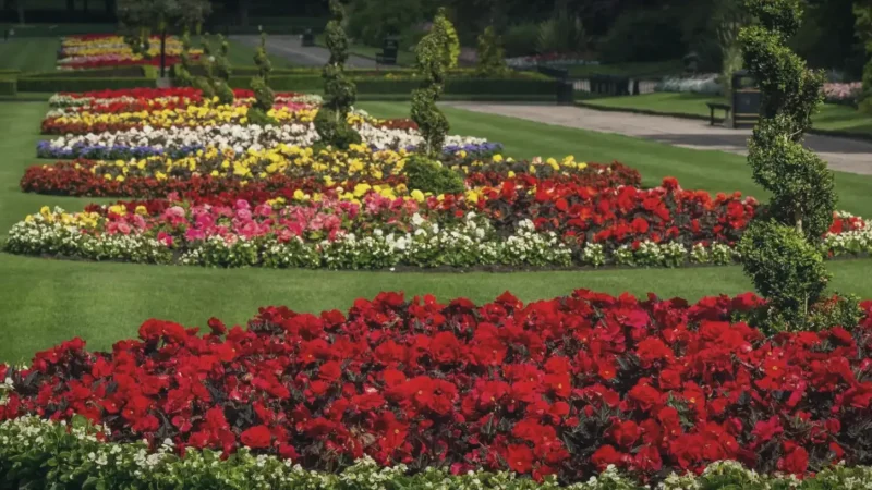 09) Seaton Park(4)