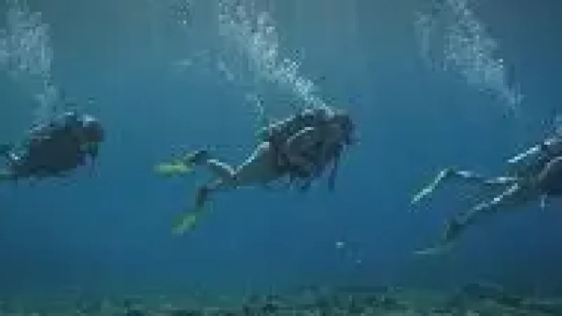 09 Snorkeling Access Points(6)