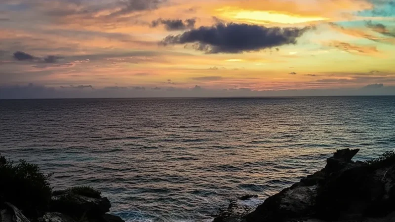 09) Snorkeling Reefs(2)