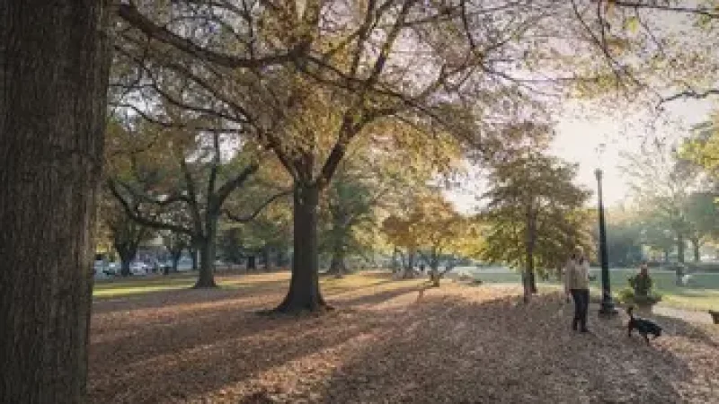 09) Stanton Park(1)