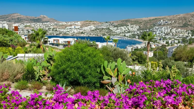 09. Gundogan Beach(1)