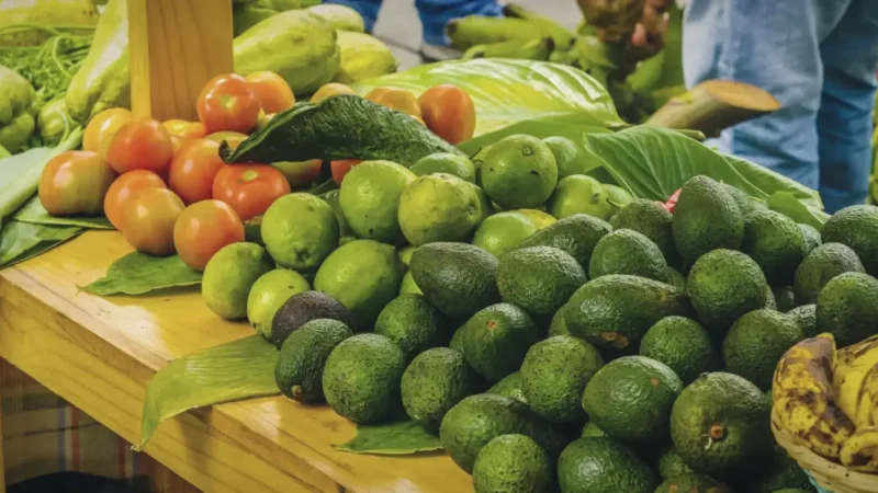 09. Local Markets – Fresh produce and crafts_(6)