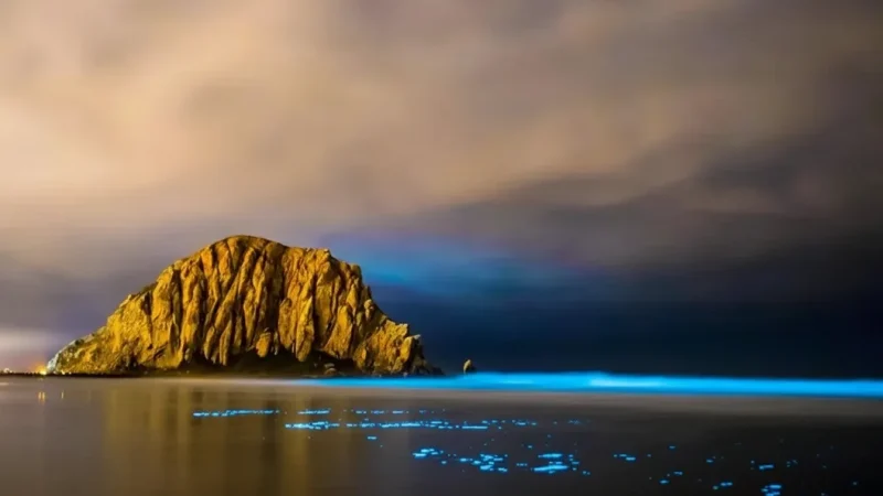 09. Morto Bay – Quiet coastal area_(2)