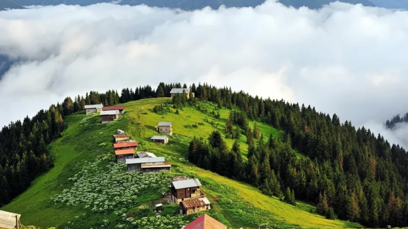 09. Sal Plateau – Wooden houses and calm nature_(3)