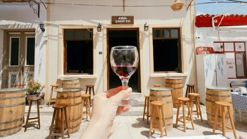 09. Vineyards & Wine Houses(3)