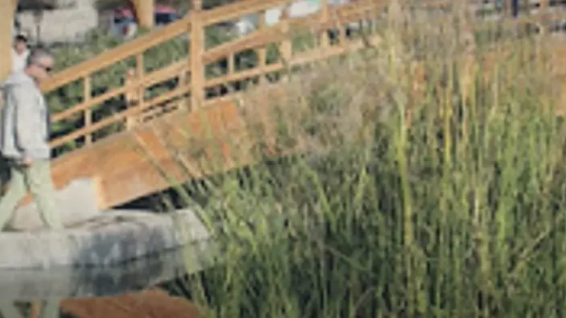 09_City_Parks(3)