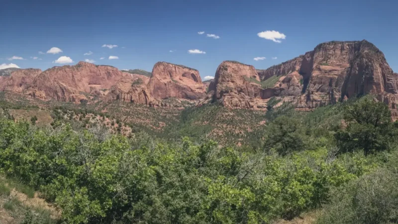 09_Kolob_Canyons(4)