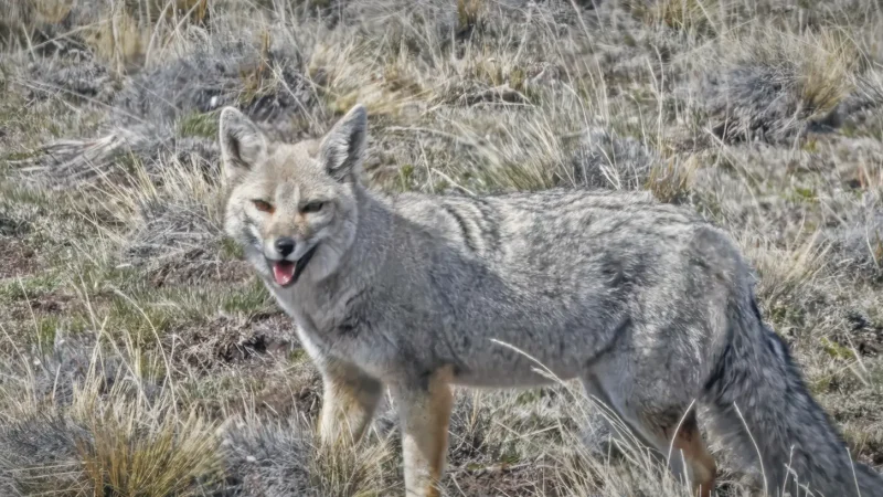 09_Wildlife_Observation_Zones(3)