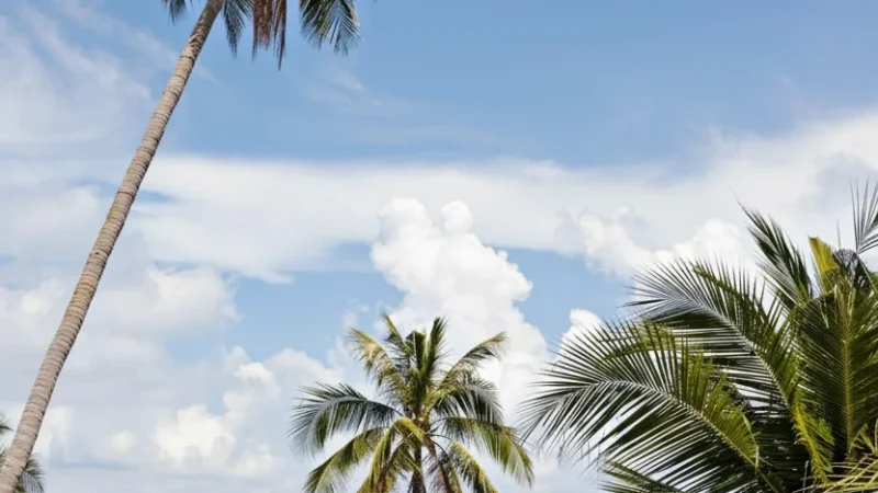 1 Kep Beach – Calm seaside swimming area(2)