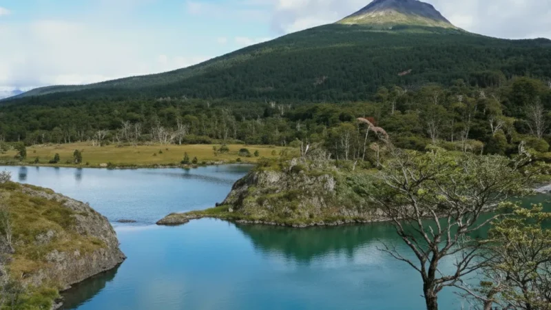 1 Lapataia Bay – Southern coastal viewpoint(5)