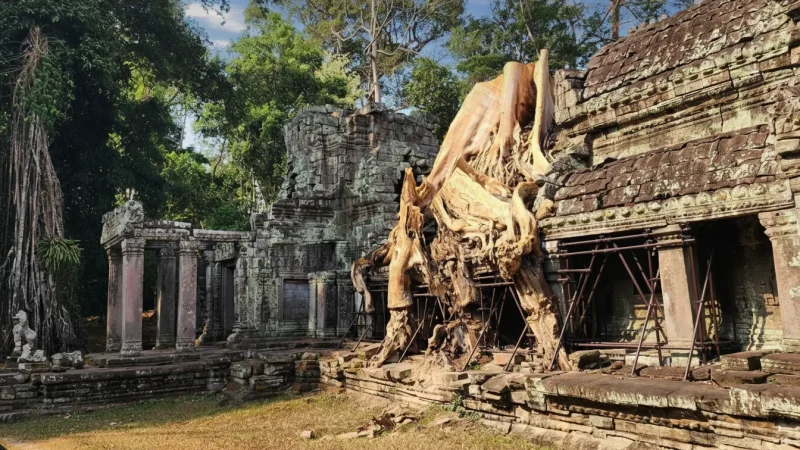 1 Ta Prohm Temple – Famous jungle-covered ruins(5)