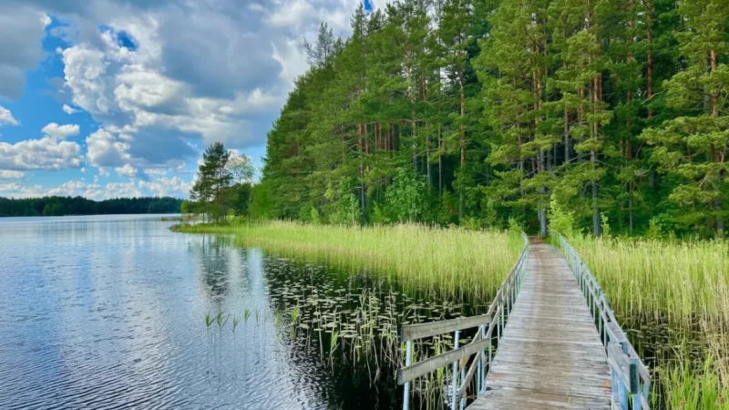 1 Teijo National Park ‒ Lakes, forests, and hiking trails(4)
