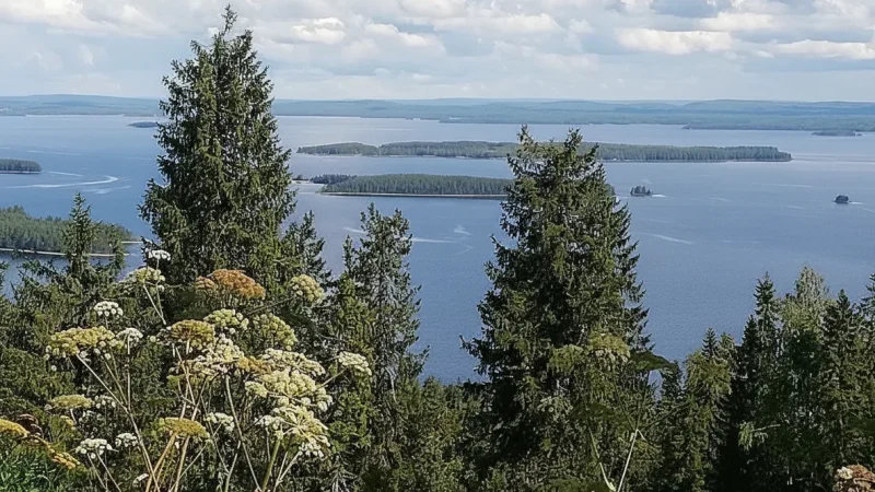 1 Ukko-Koli Viewpoint – Iconic panoramic landscape(3)