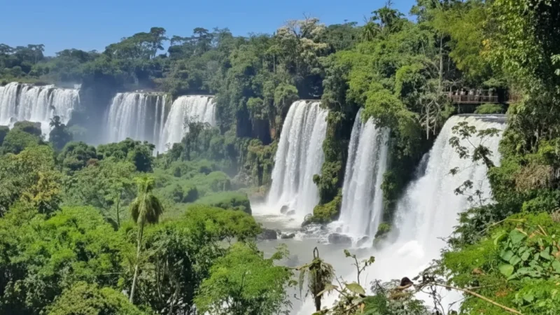 1 Upper Circuit Trails – Elevated rainforest walkways(3)