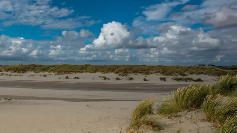 1) Westerland Beach(1)