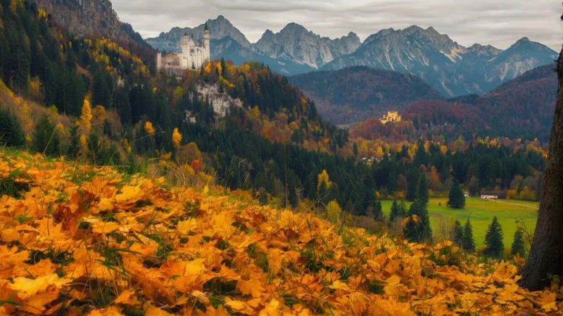 1. Neuschwanstein Castle(4)