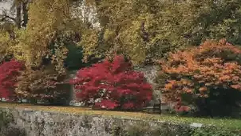 10) Dane John Gardens(4)