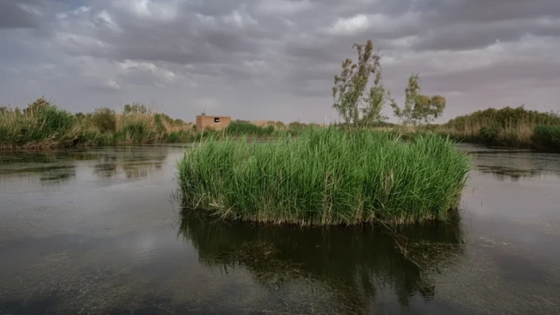 10) Desert-Oasis Transition Zones(4)