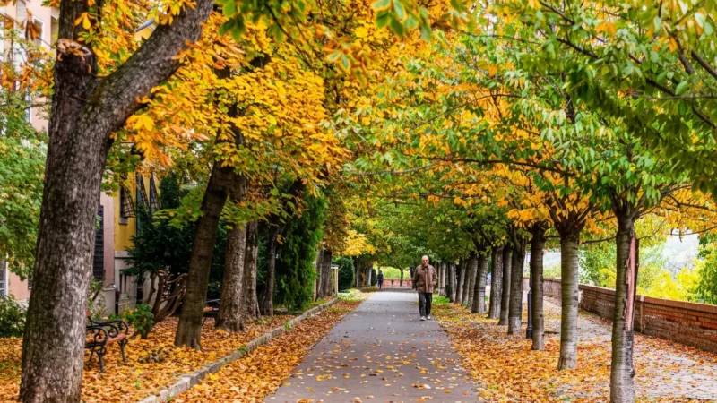 10) Erzsébet Promenade(4)