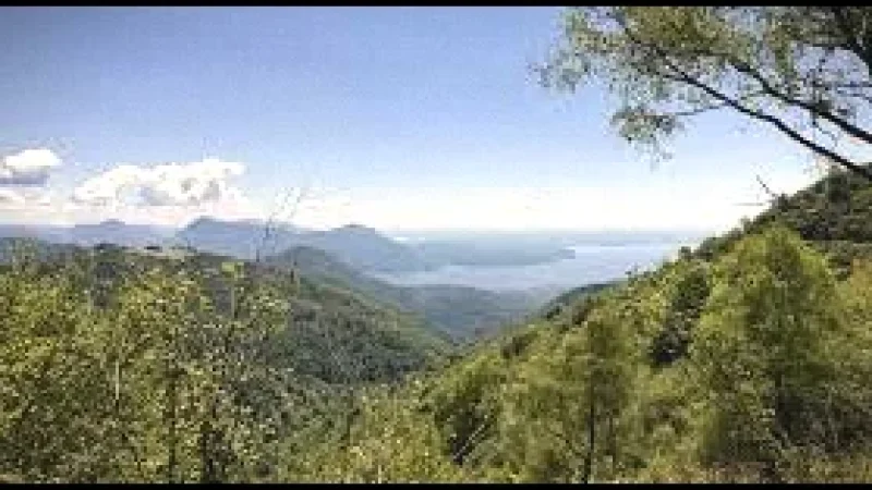 10 Forest Walking Paths(3)