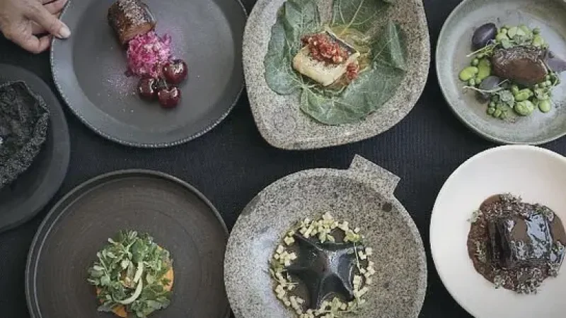 10) Gourmet Restaurants(4)