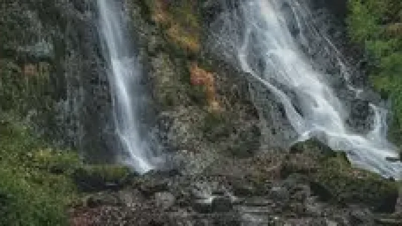 10) Grey Mare’s Tail(5)