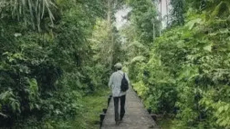 10 Guided Nature Routes ‒ Educational walks(2)
