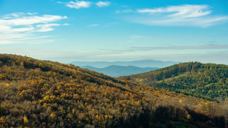 10) Kőszeg Mountains(5)