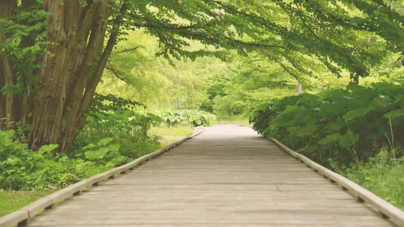 10) Kurpark Malente(3)