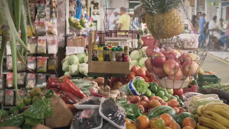 10 Local Markets – Regional produce_(5)