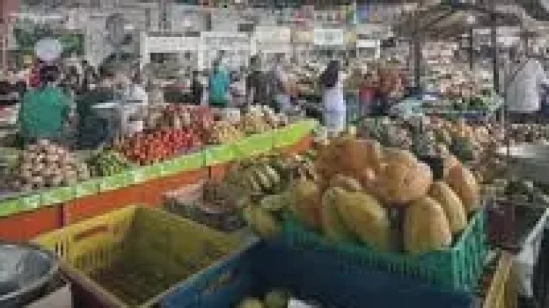 10 Local Markets – Traditional food experience(2)