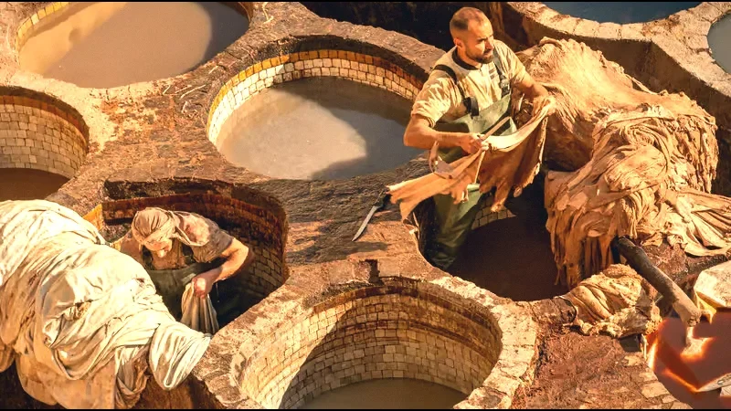 10) Local Tanneries(1)