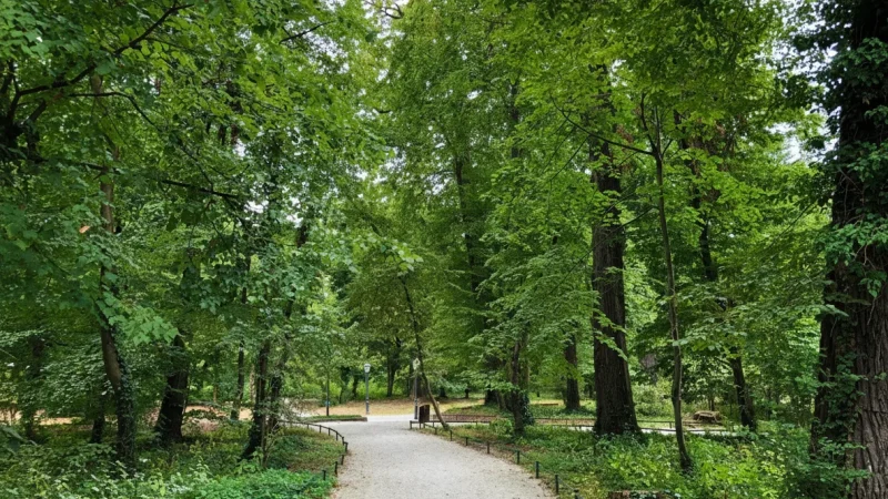 Maksimir Park